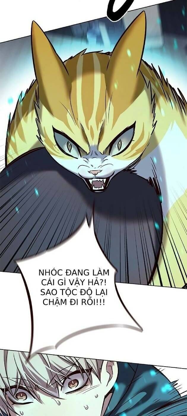 Hoá Thân Thành Mèo Chapter 241 - Trang 2