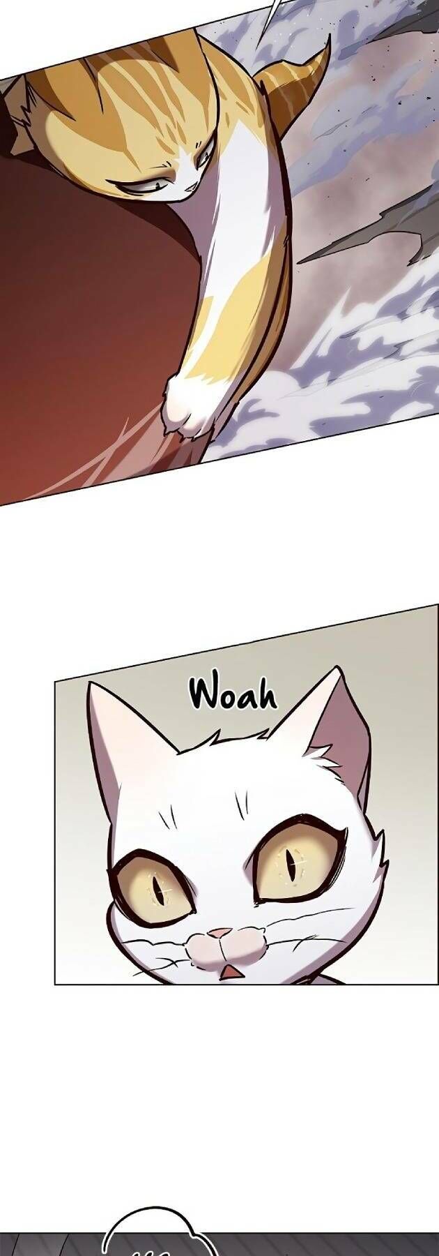 Hoá Thân Thành Mèo Chapter 241 - Trang 2
