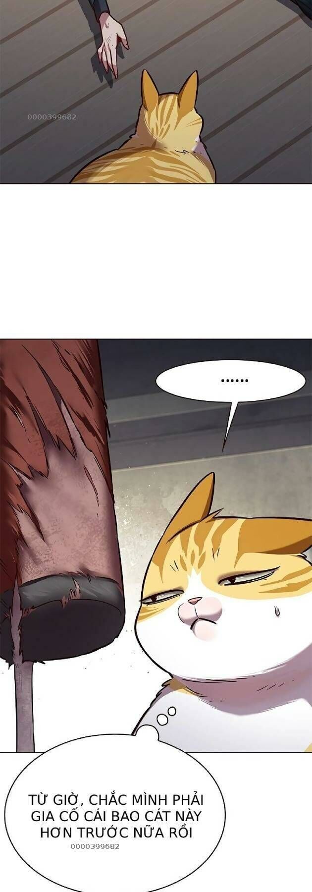 Hoá Thân Thành Mèo Chapter 241 - Trang 2