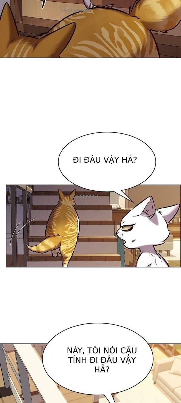 Hoá Thân Thành Mèo Chapter 241 - Trang 2