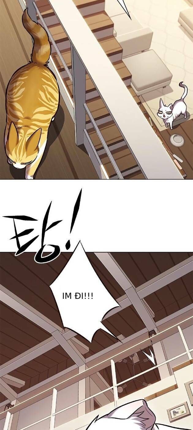 Hoá Thân Thành Mèo Chapter 241 - Trang 2