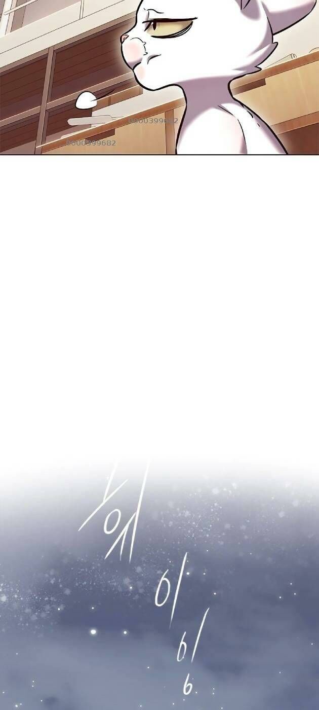 Hoá Thân Thành Mèo Chapter 241 - Trang 2