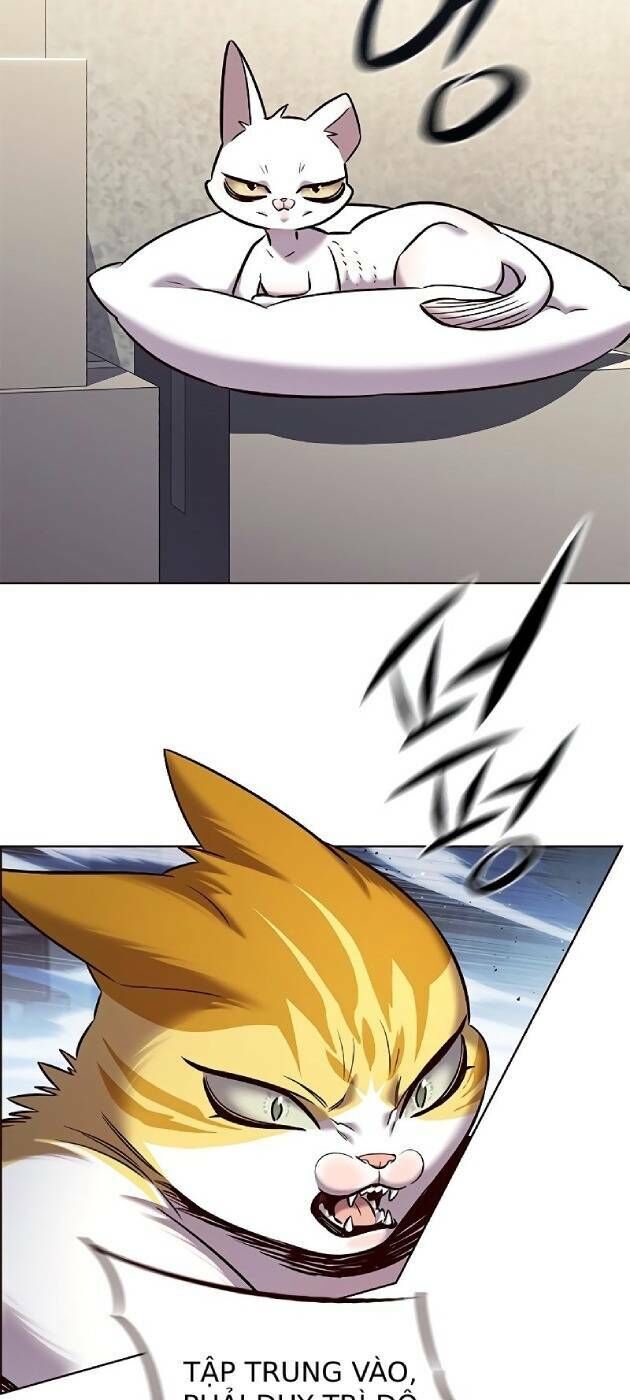 Hoá Thân Thành Mèo Chapter 241 - Trang 2