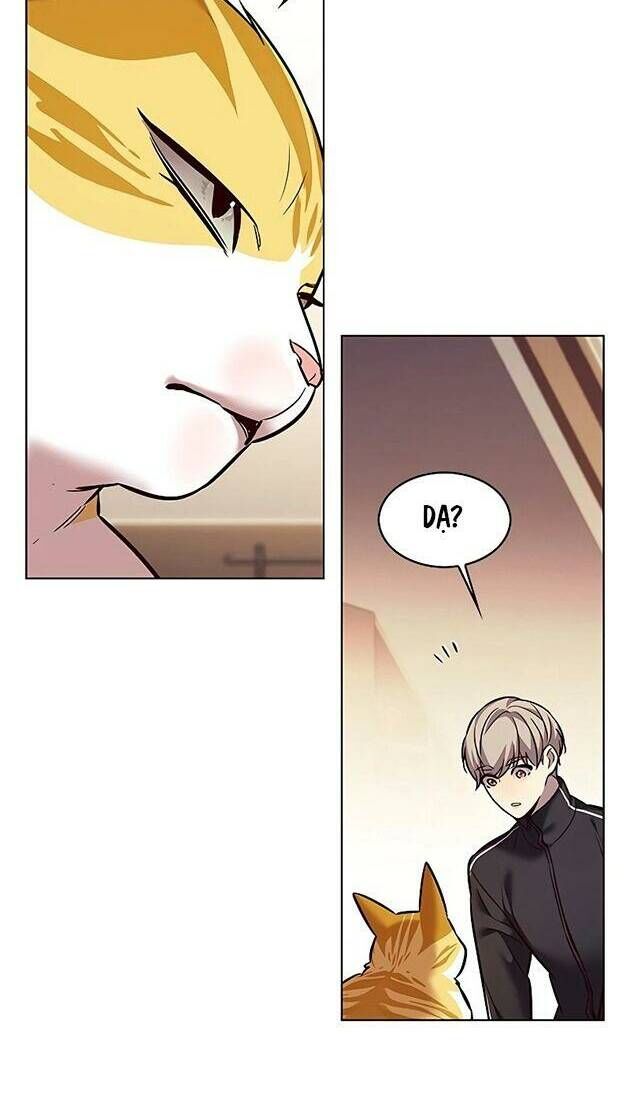 Hoá Thân Thành Mèo Chapter 242 - Trang 2