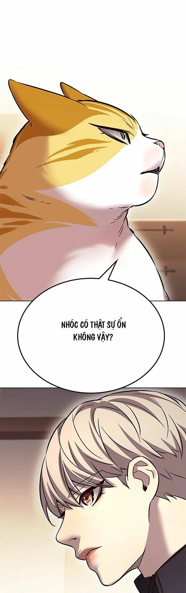 Hoá Thân Thành Mèo Chapter 242 - Trang 2