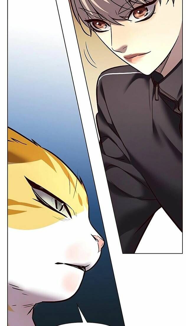 Hoá Thân Thành Mèo Chapter 242 - Trang 2