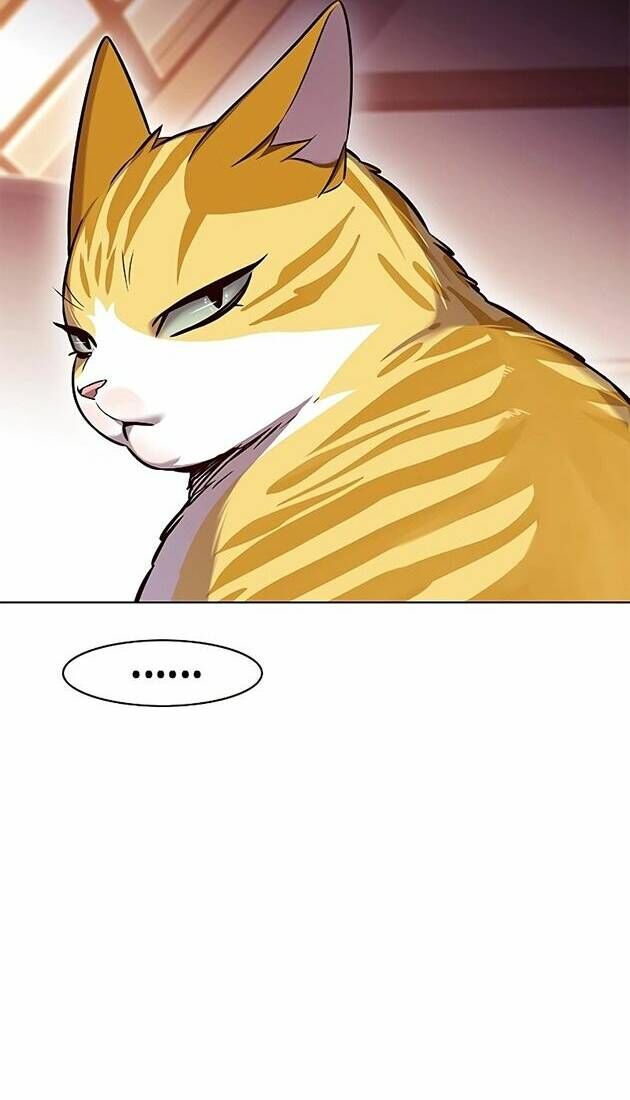 Hoá Thân Thành Mèo Chapter 242 - Trang 2