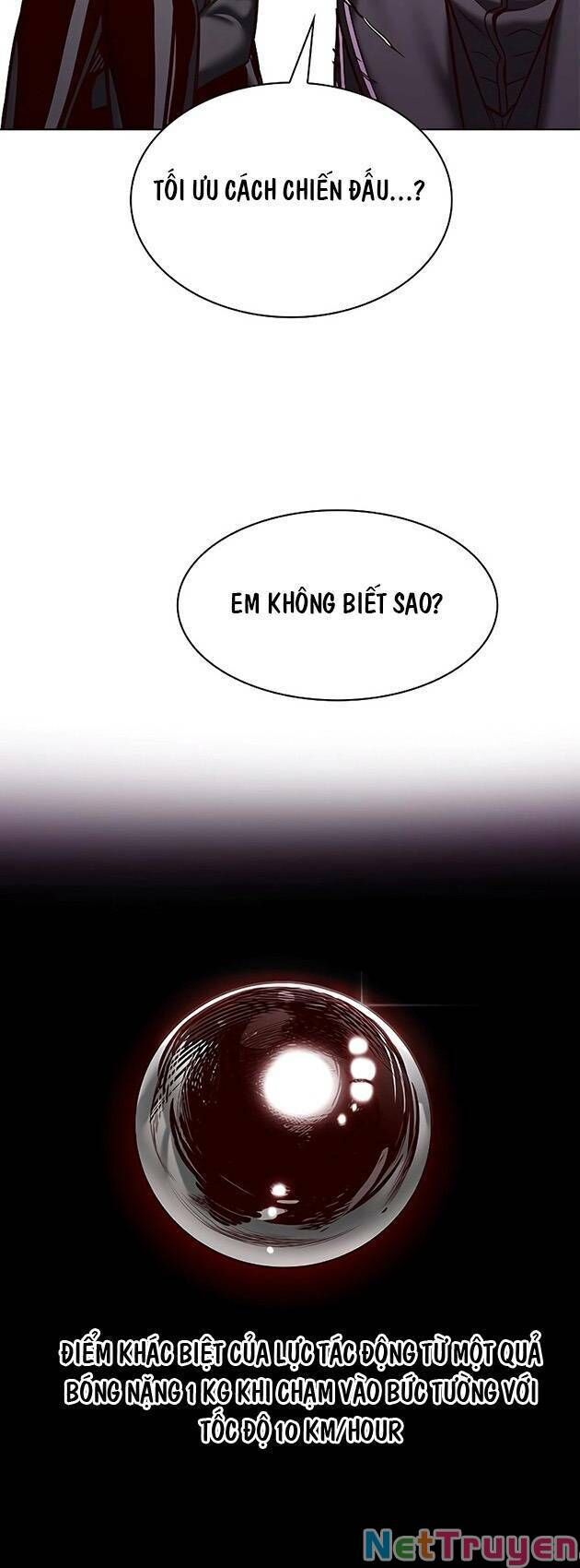 Hoá Thân Thành Mèo Chapter 243 - Trang 2