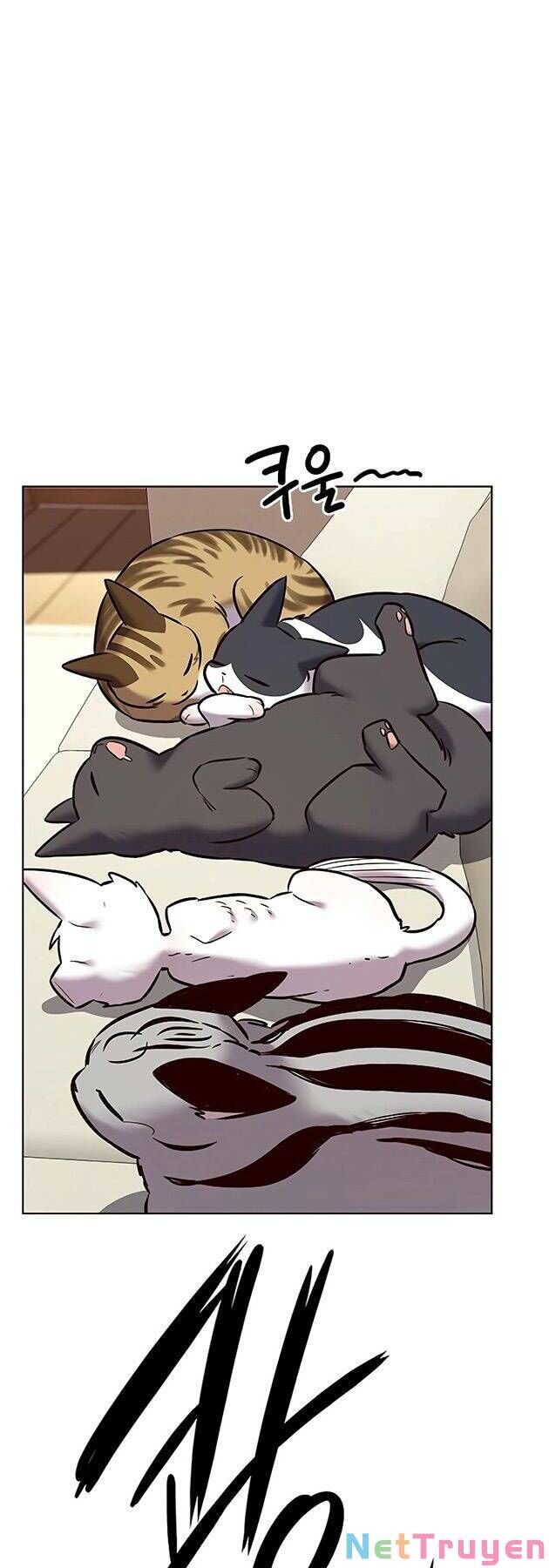 Hoá Thân Thành Mèo Chapter 243 - Trang 2