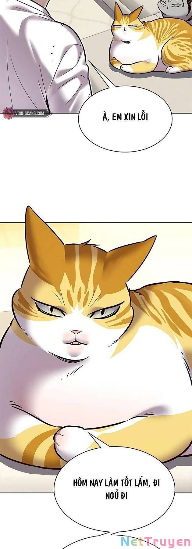 Hoá Thân Thành Mèo Chapter 243 - Trang 2