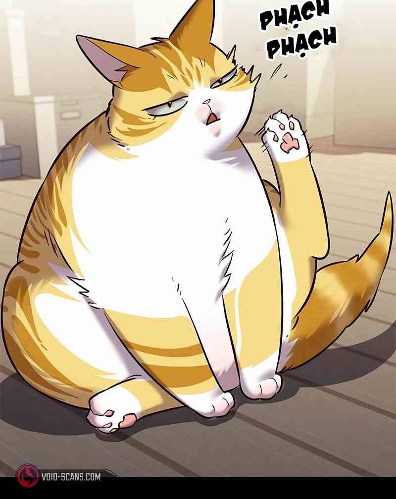 Hoá Thân Thành Mèo Chapter 244.1 - Trang 2