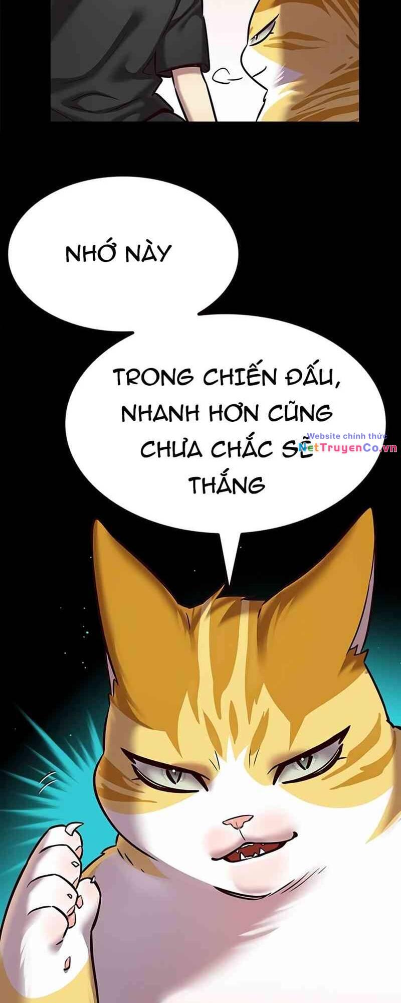 Hoá Thân Thành Mèo Chapter 244.1 - Trang 2