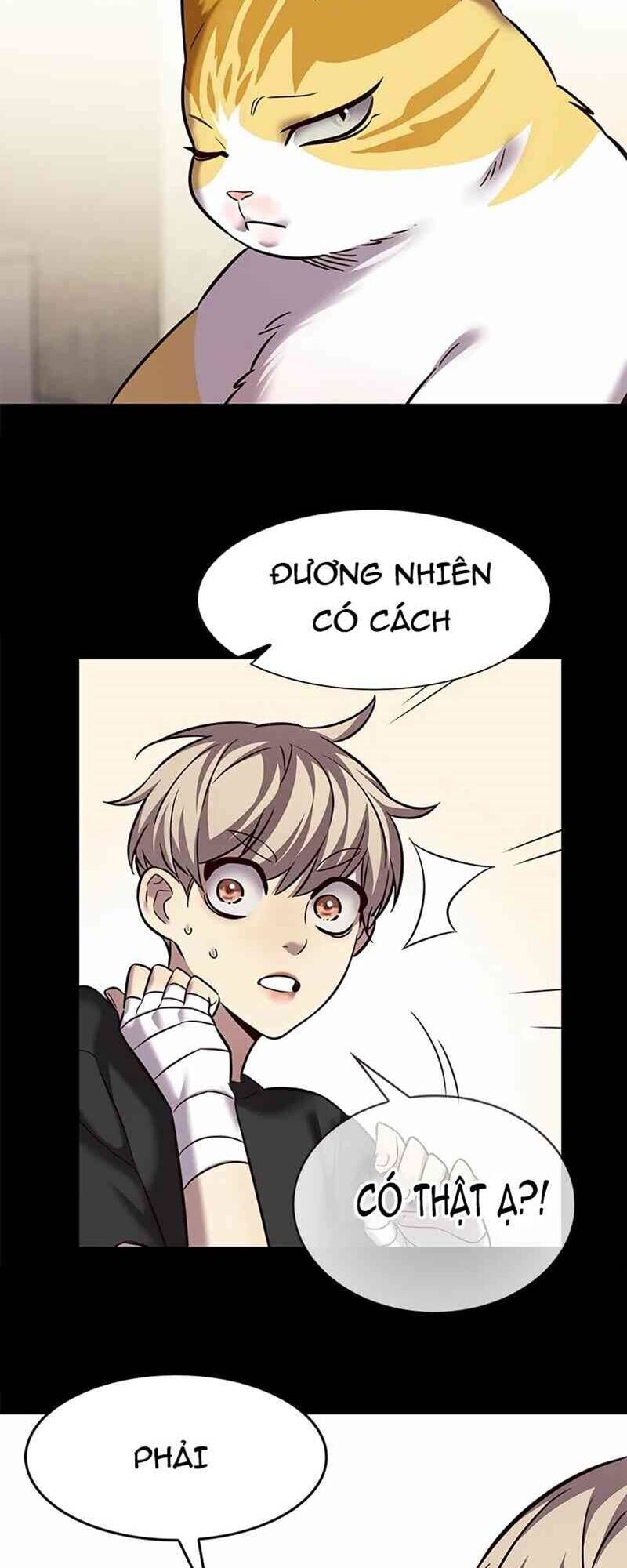 Hoá Thân Thành Mèo Chapter 244 - Trang 2