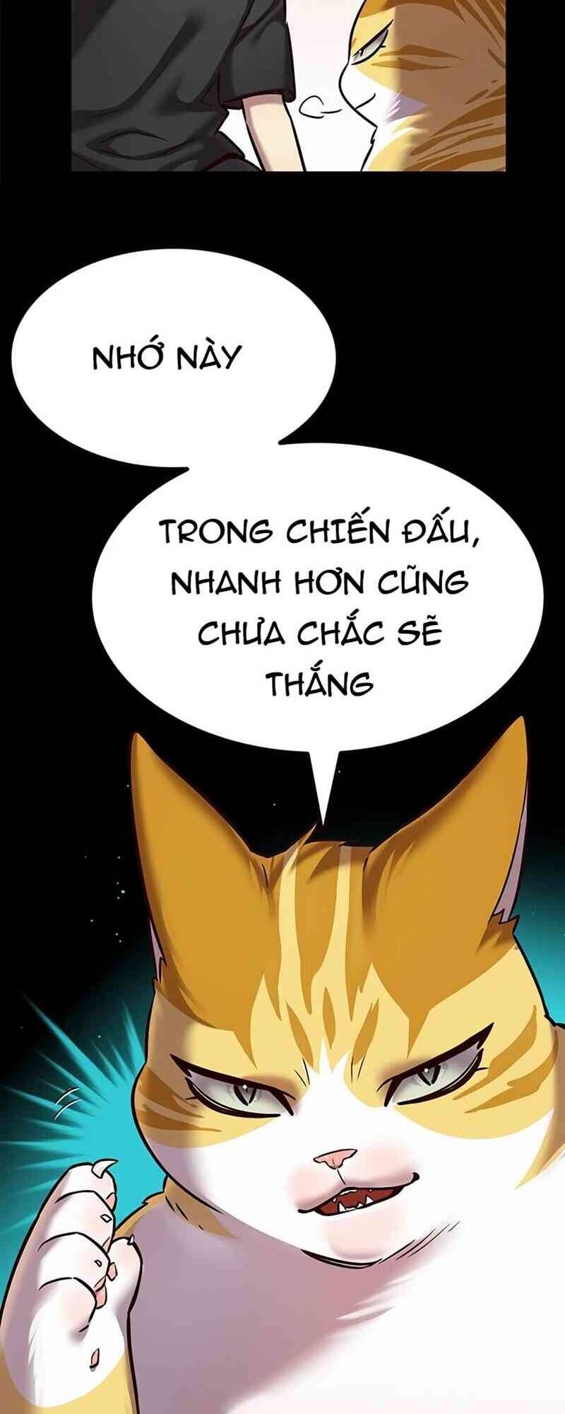 Hoá Thân Thành Mèo Chapter 244 - Trang 2