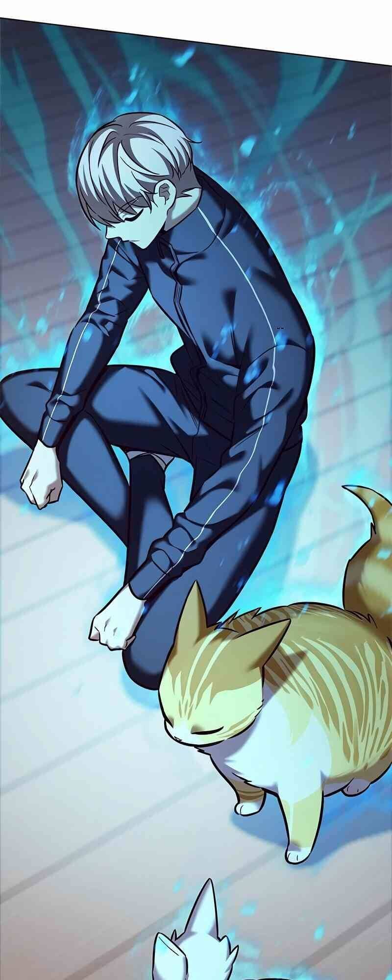 Hoá Thân Thành Mèo Chapter 244 - Trang 2