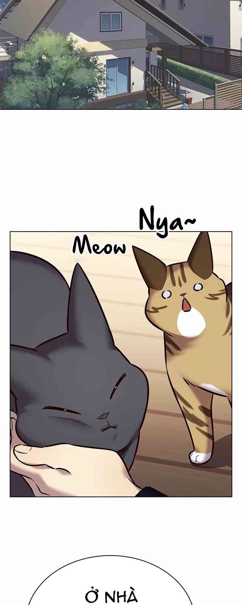 Hoá Thân Thành Mèo Chapter 244 - Trang 2