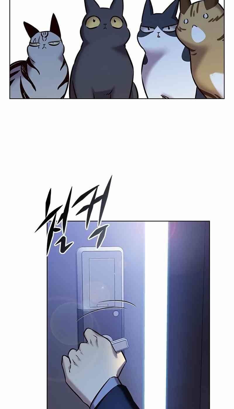 Hoá Thân Thành Mèo Chapter 244 - Trang 2