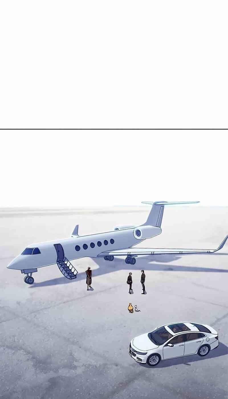 Hoá Thân Thành Mèo Chapter 244 - Trang 2