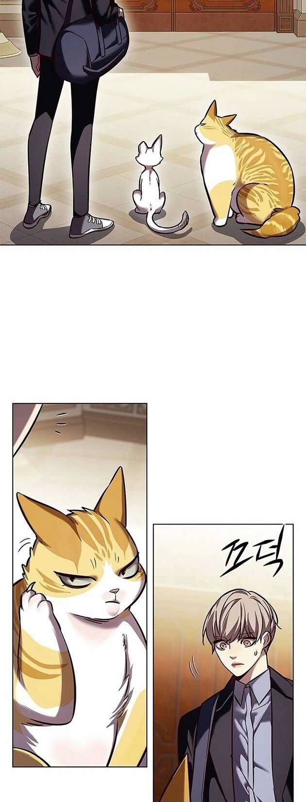 Hoá Thân Thành Mèo Chapter 245 - Trang 2