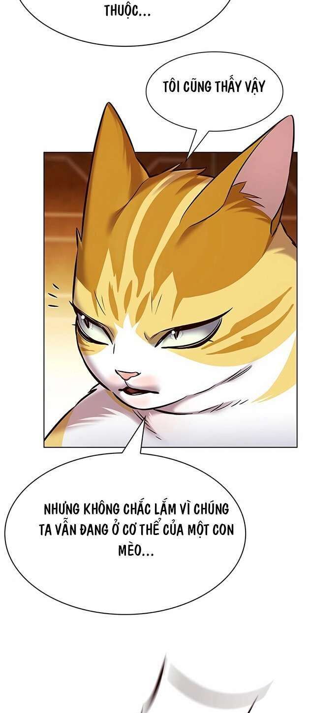 Hoá Thân Thành Mèo Chapter 245 - Trang 2