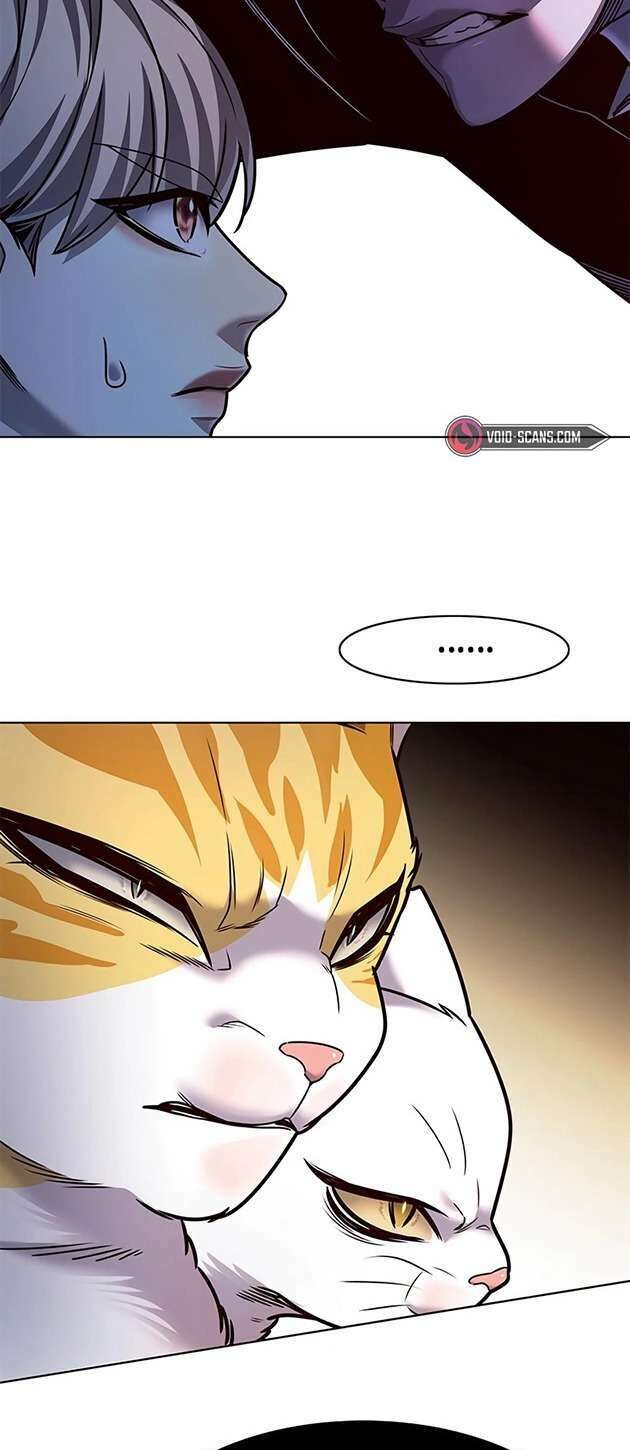 Hoá Thân Thành Mèo Chapter 245 - Trang 2