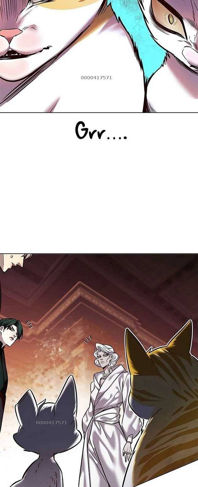 Hoá Thân Thành Mèo Chapter 246 - Trang 2