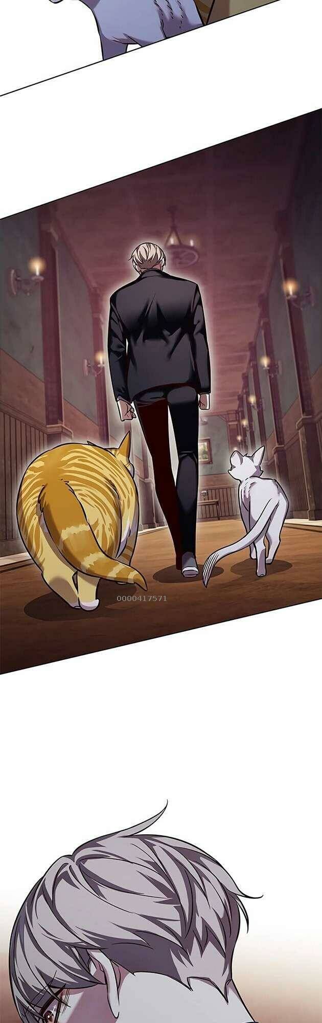 Hoá Thân Thành Mèo Chapter 246 - Trang 2