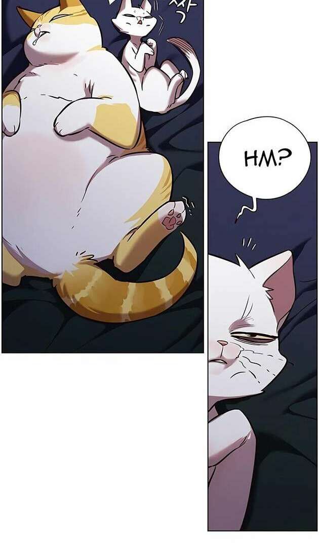 Hoá Thân Thành Mèo Chapter 246 - Trang 2