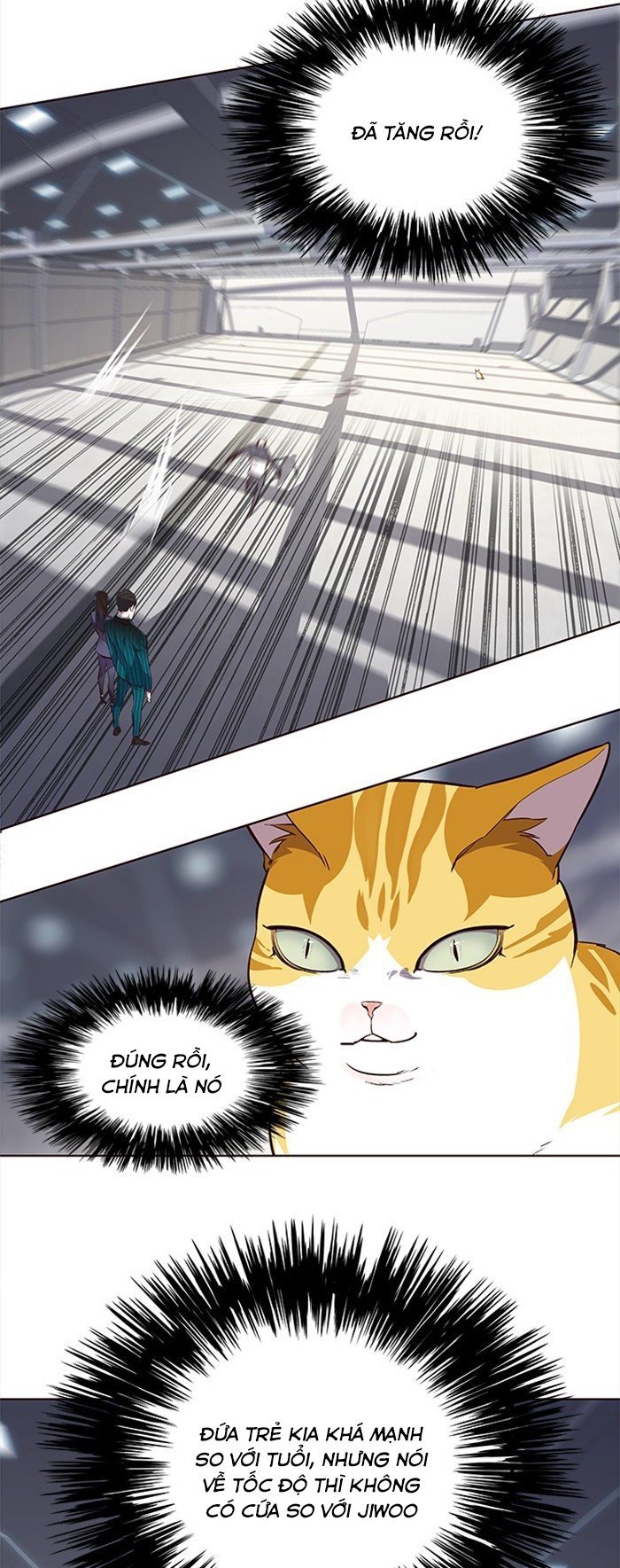 Hoá Thân Thành Mèo Chapter 25 - Trang 2