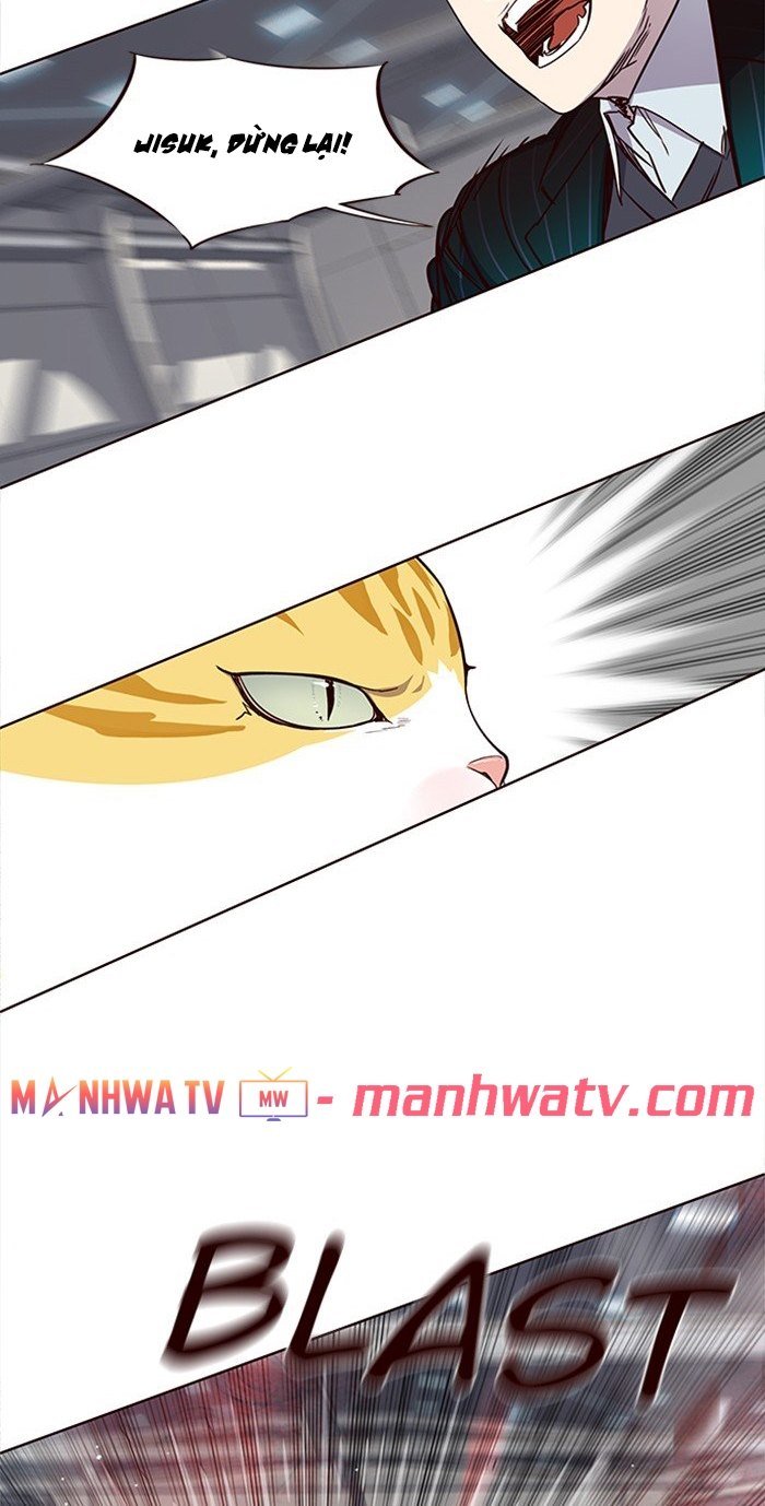 Hoá Thân Thành Mèo Chapter 25 - Trang 2