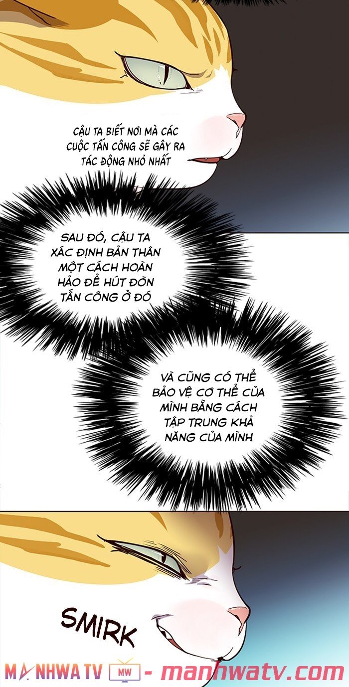 Hoá Thân Thành Mèo Chapter 25 - Trang 2