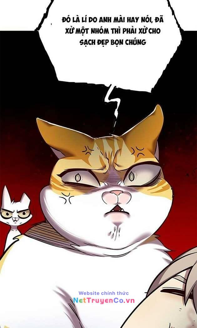 Hoá Thân Thành Mèo Chapter 253.1 - Trang 2