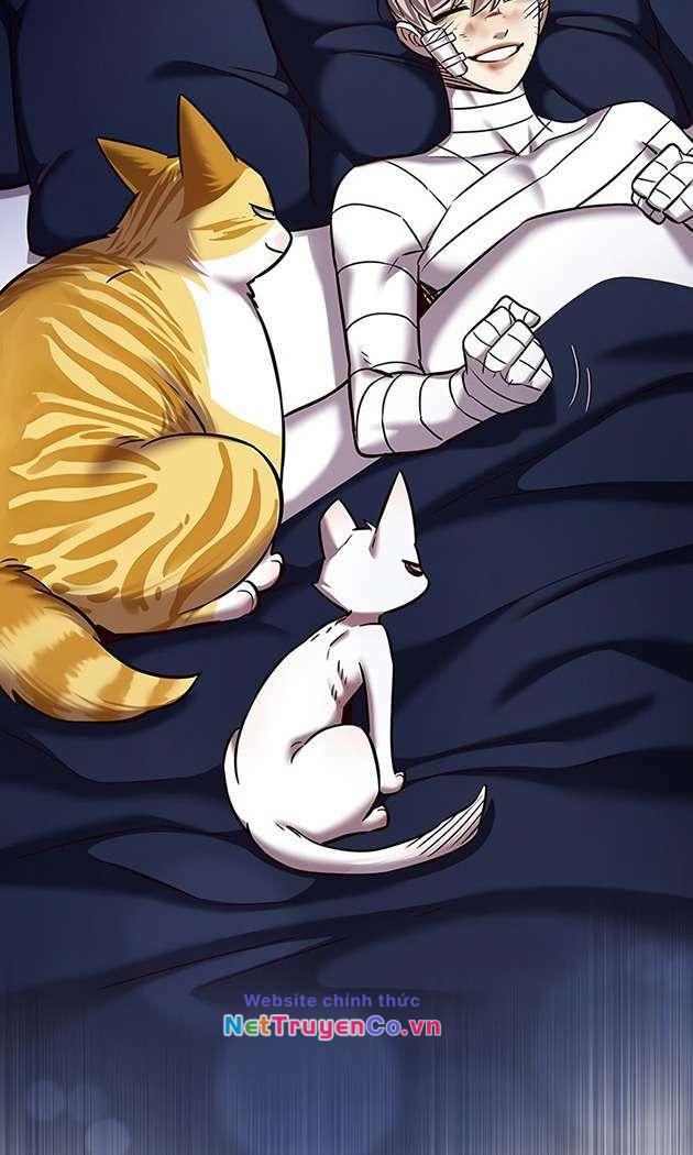 Hoá Thân Thành Mèo Chapter 253.1 - Trang 2