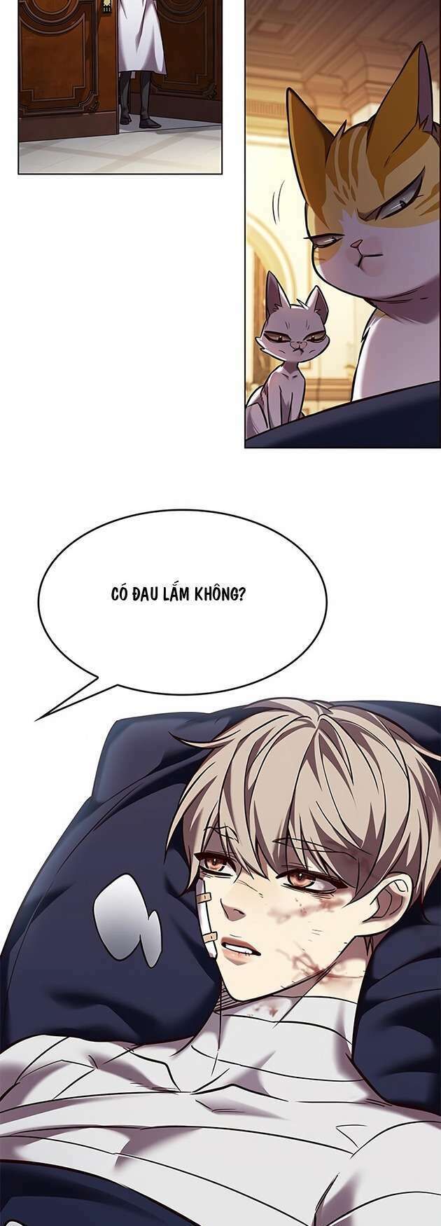 Hoá Thân Thành Mèo Chapter 253 - Trang 2