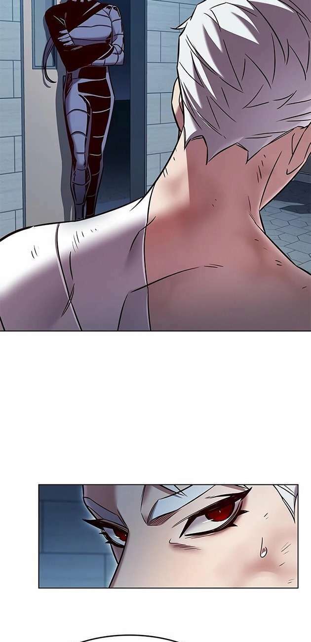 Hoá Thân Thành Mèo Chapter 254 - Trang 2