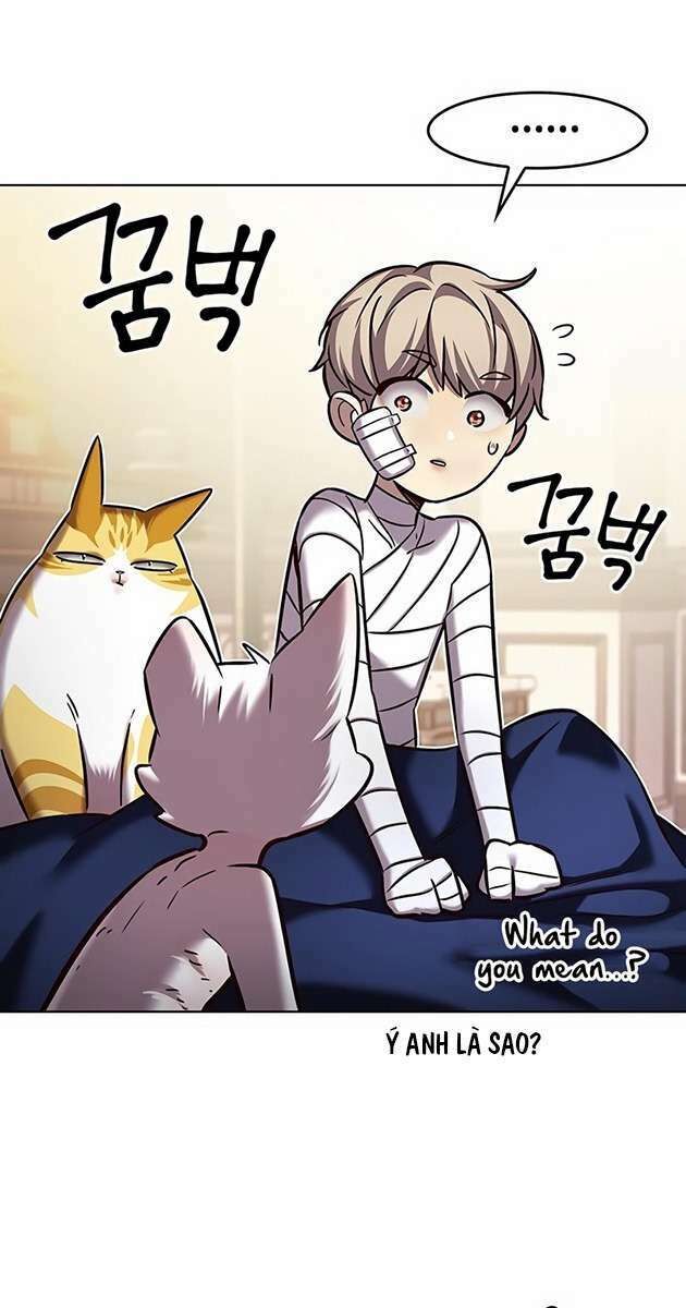 Hoá Thân Thành Mèo Chapter 254 - Trang 2