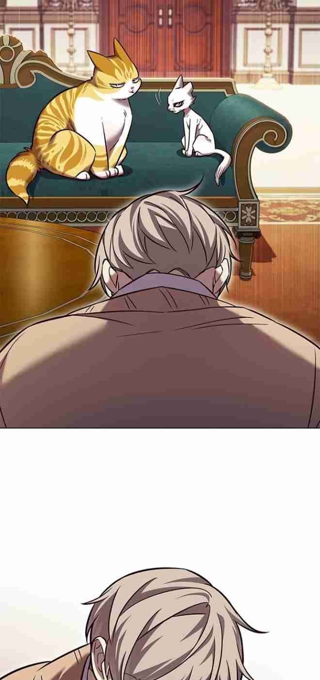 Hoá Thân Thành Mèo Chapter 256 - Trang 2