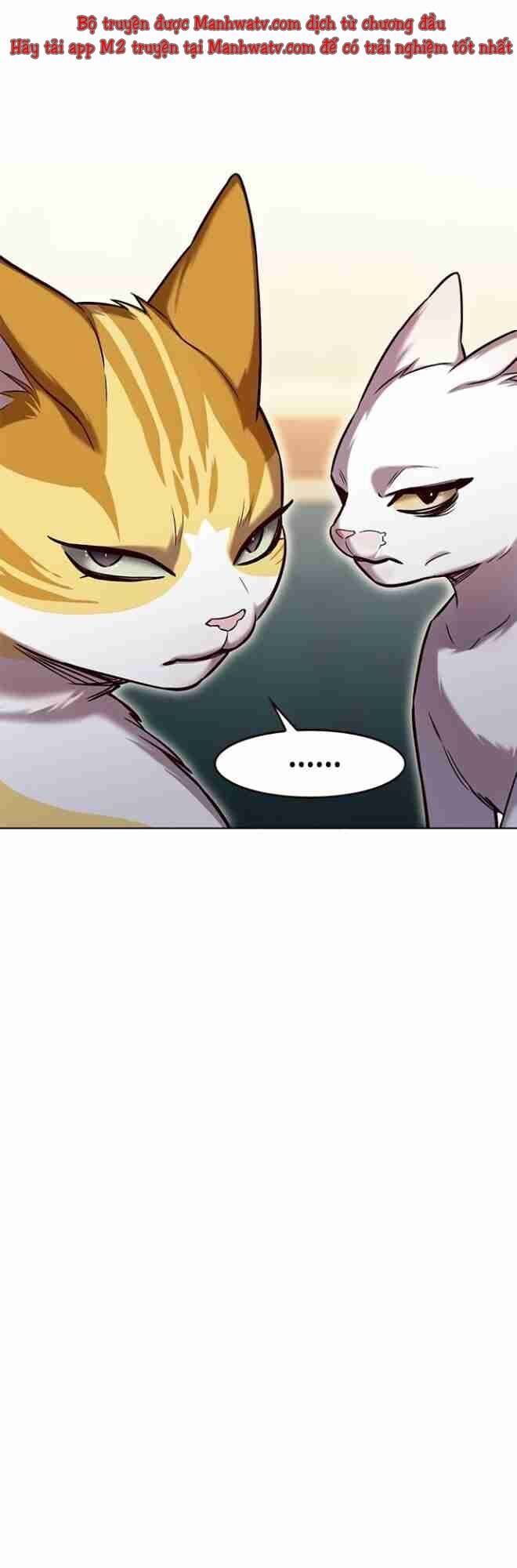 Hoá Thân Thành Mèo Chapter 256 - Trang 2