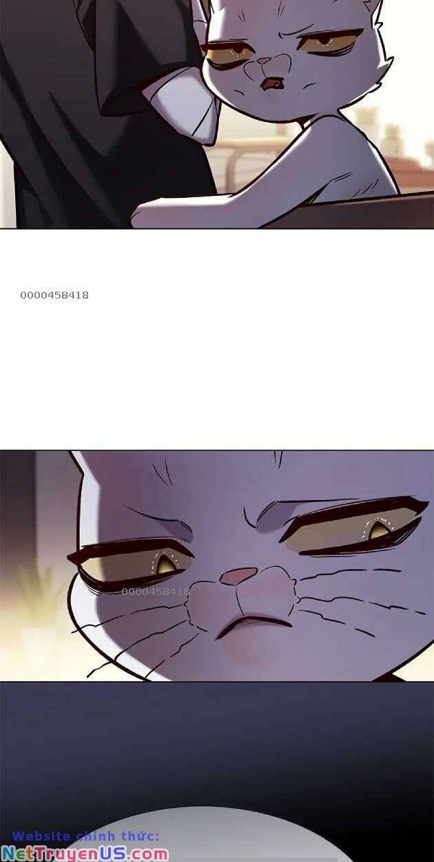 Hoá Thân Thành Mèo Chapter 263 - Trang 2