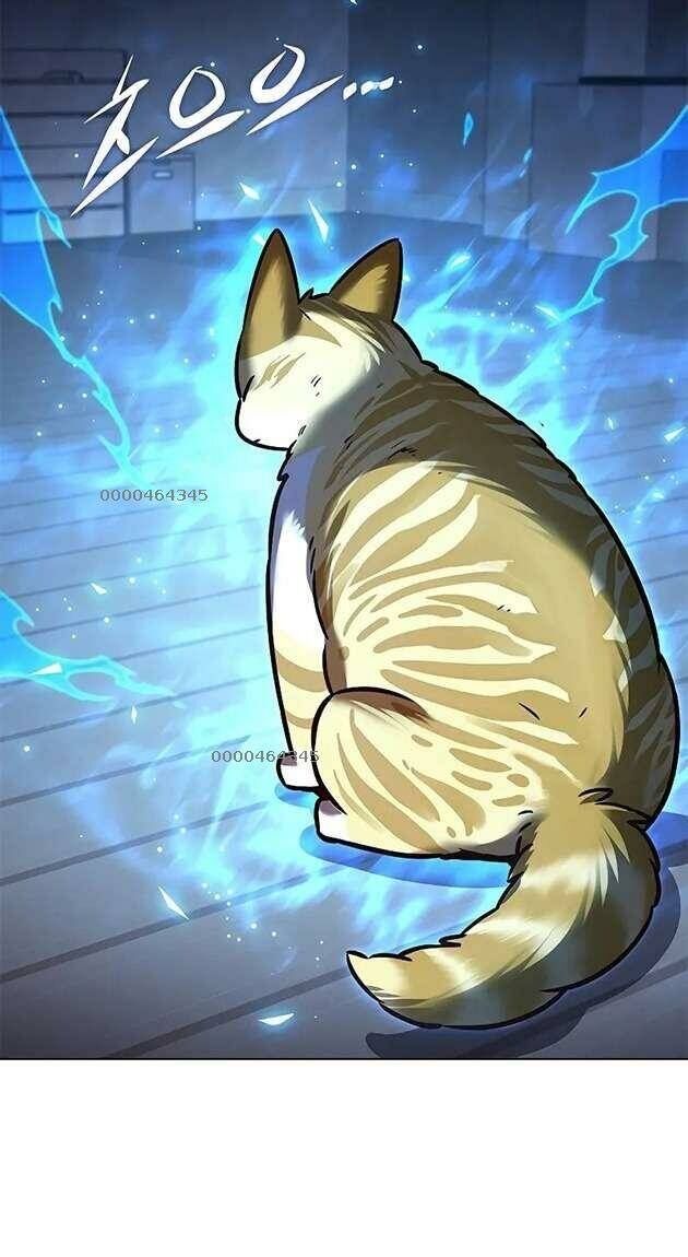 Hoá Thân Thành Mèo Chapter 267 - Trang 2