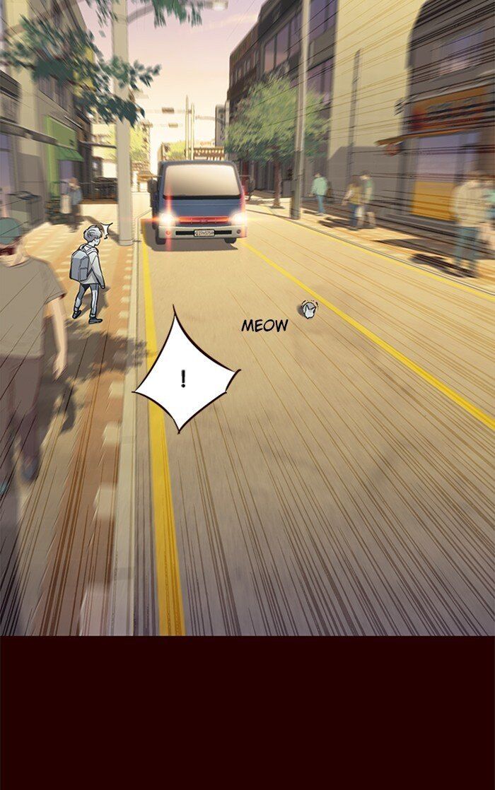 Hoá Thân Thành Mèo Chapter 27 - Trang 2