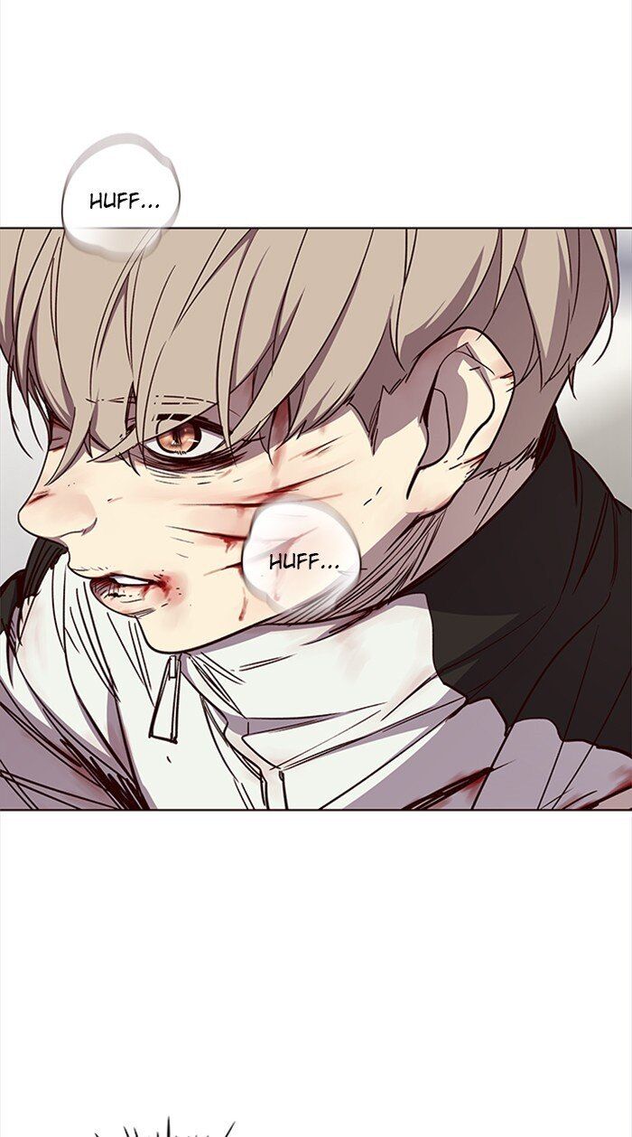 Hoá Thân Thành Mèo Chapter 27 - Trang 2