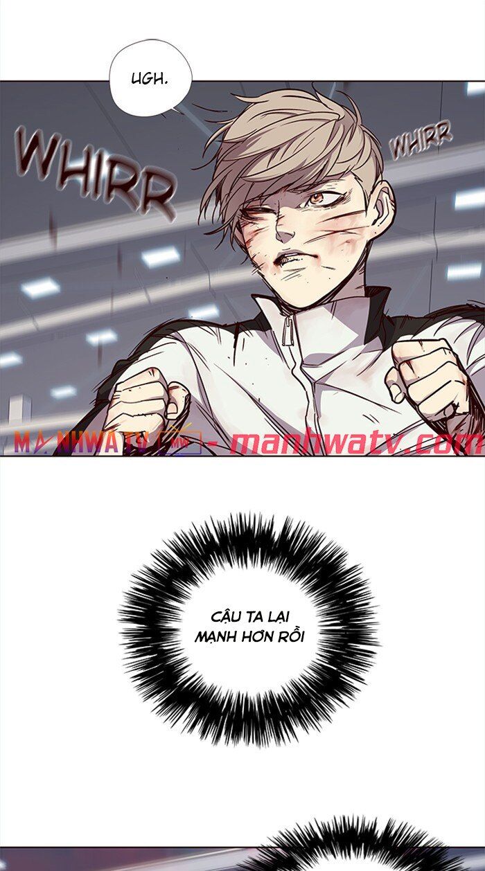 Hoá Thân Thành Mèo Chapter 27 - Trang 2