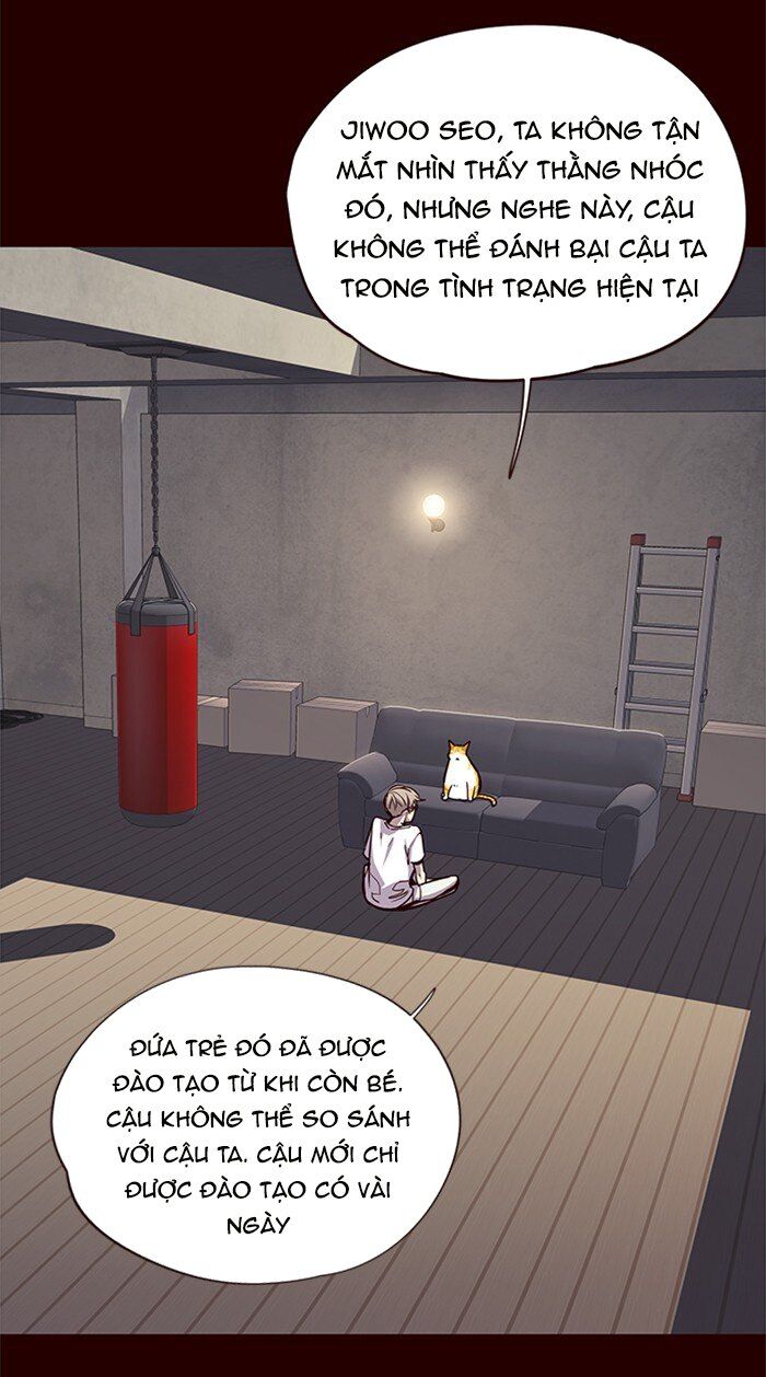 Hoá Thân Thành Mèo Chapter 27 - Trang 2