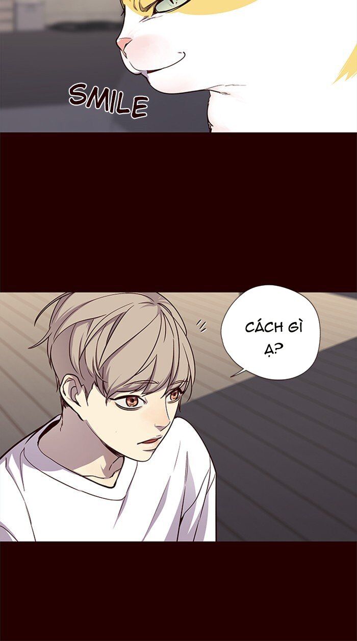 Hoá Thân Thành Mèo Chapter 27 - Trang 2