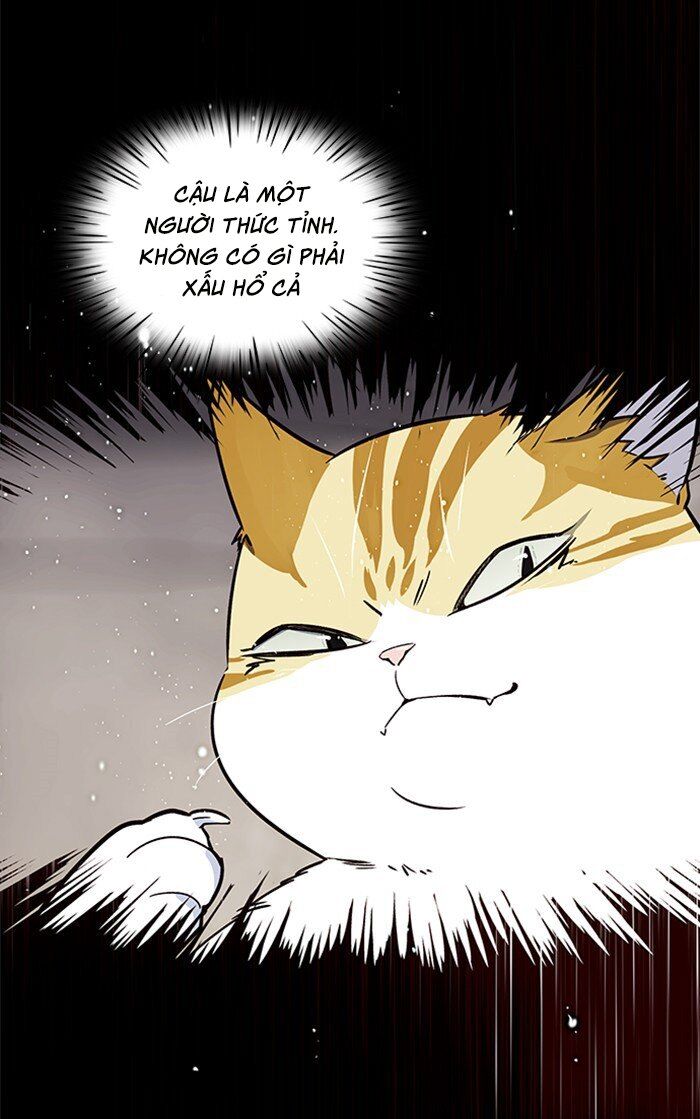 Hoá Thân Thành Mèo Chapter 27 - Trang 2