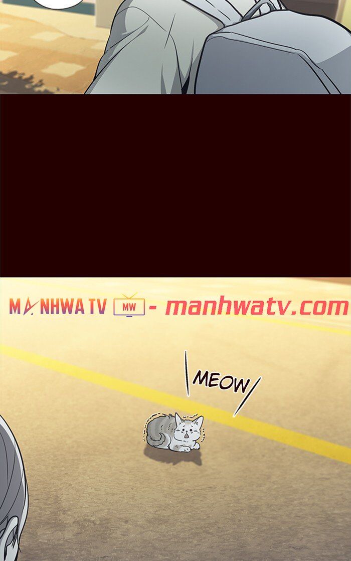 Hoá Thân Thành Mèo Chapter 27 - Trang 2