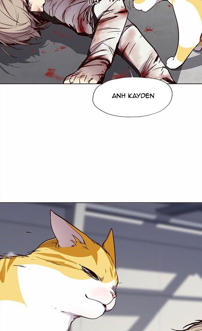 Hoá Thân Thành Mèo Chapter 27 - Trang 2