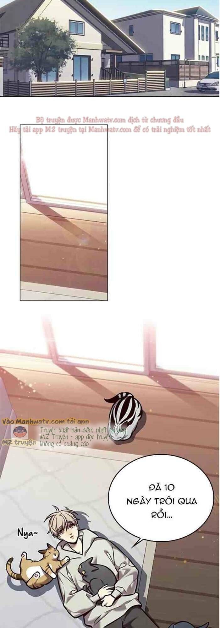 Hoá Thân Thành Mèo Chapter 271 - Trang 2