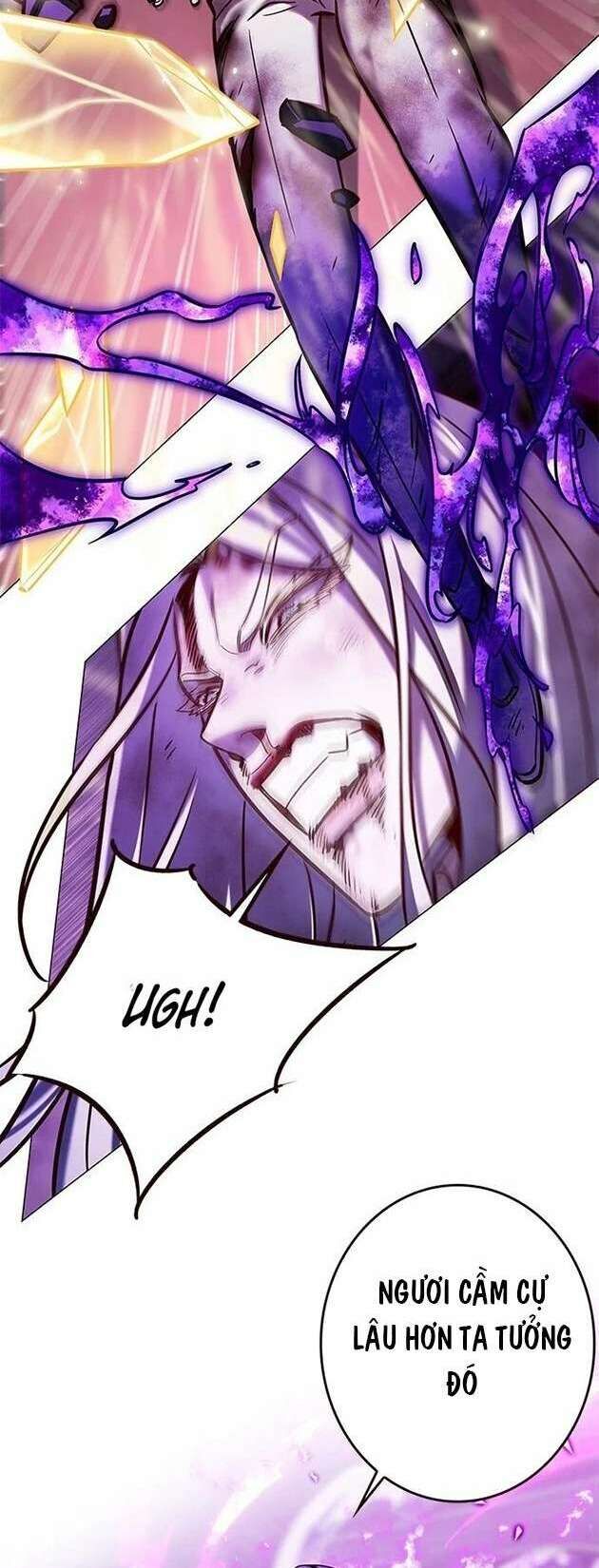 Hoá Thân Thành Mèo Chapter 272 - Trang 2